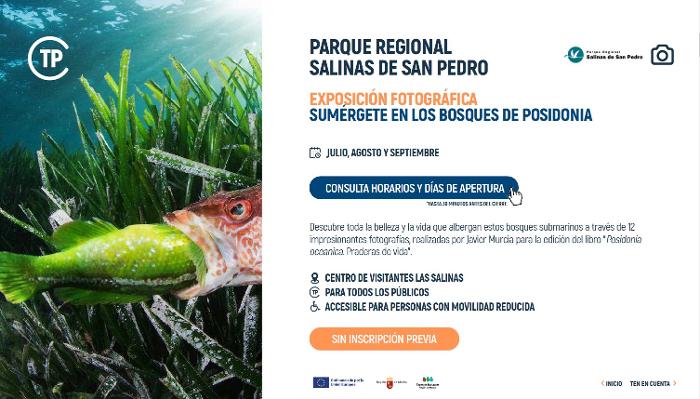 EXPOSICIN FOTOGRFICA SUMRGETE EN LOS BOSQUES DE POSIDONIA