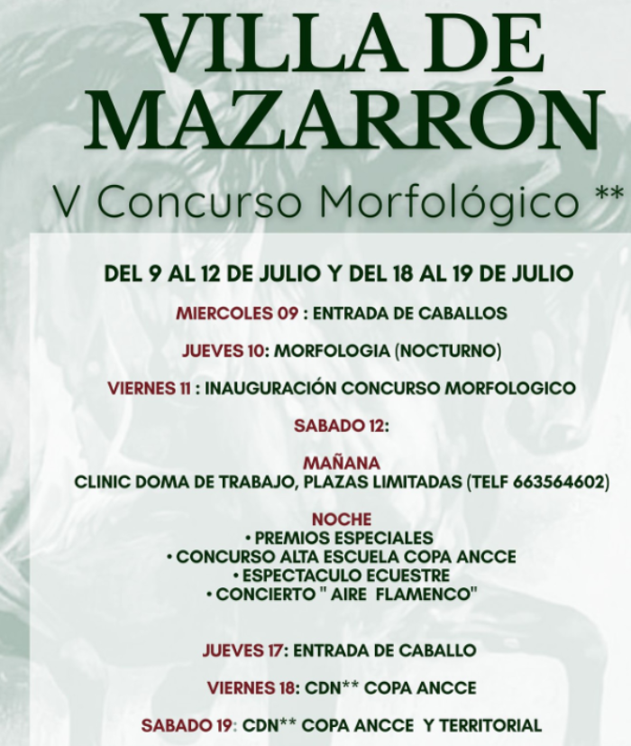 V CONCURSO MORFOLGICO DE LA VILLA DE MAZARRN