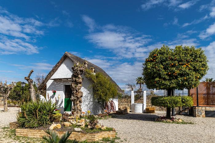 II MUESTRA DE TEATRO COSTUMBRISTA