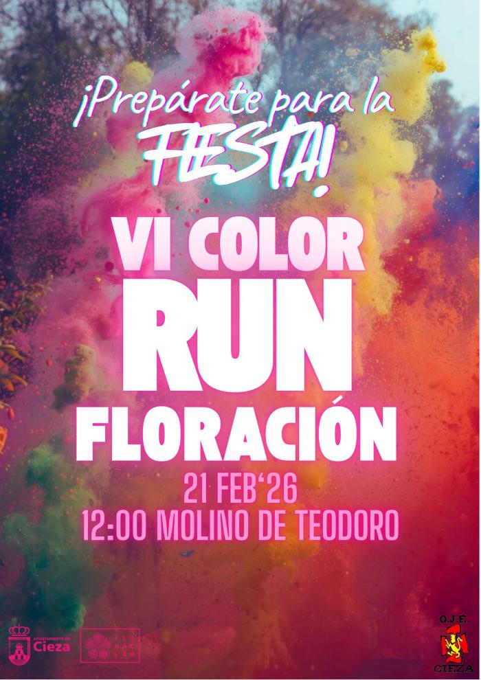 VI COLOR RUN