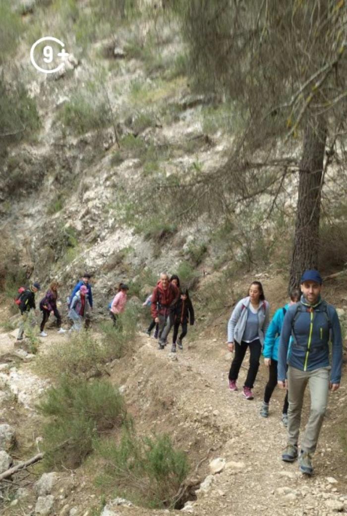 Ruta guiada el bosque que nos sostiene: bienestar y futuro