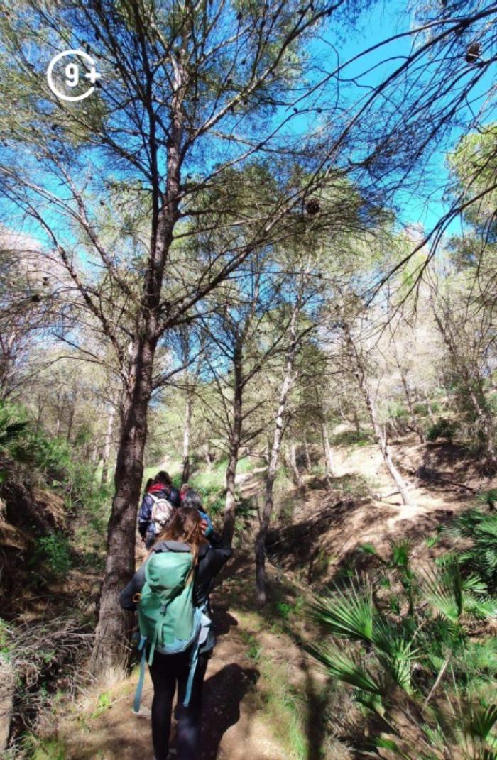 Ruta guiada secretos entre ra�ces