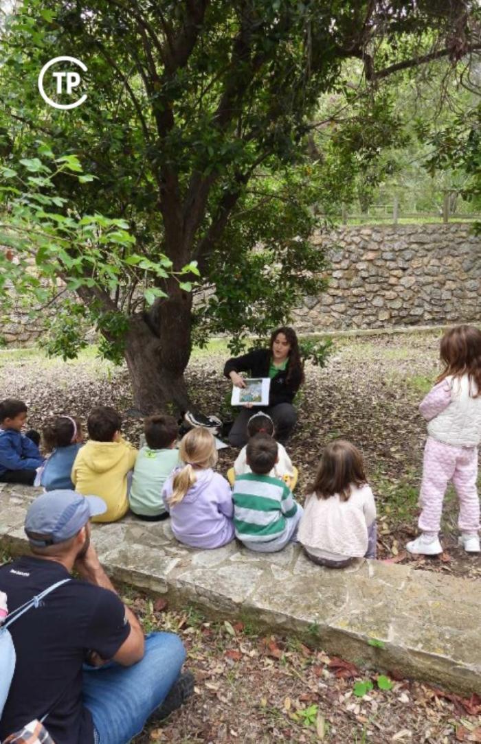 Un bosque de Cuentos