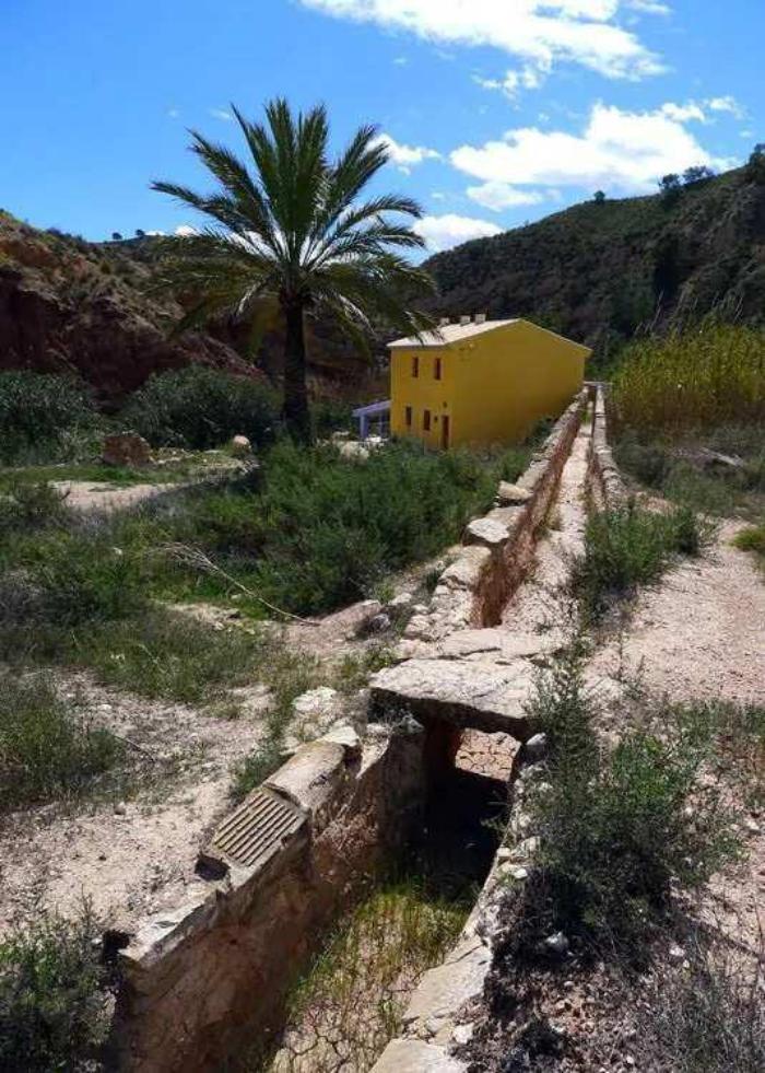 Memorias del ch�camo