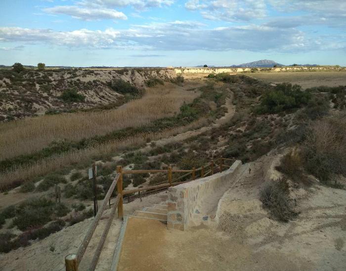 Saladares llenos de vida: el regreso de las aves migratorias