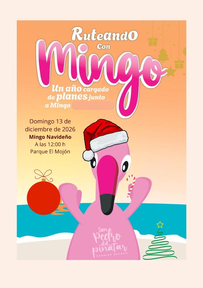 Mingo navide�o