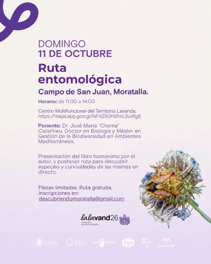 Viaje al mundo de los insectos
