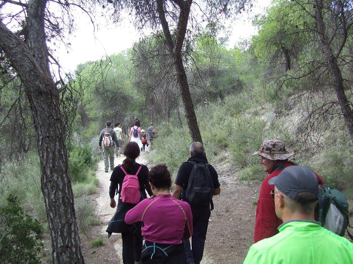 Caminando entre naturaleza y sostenibilidad