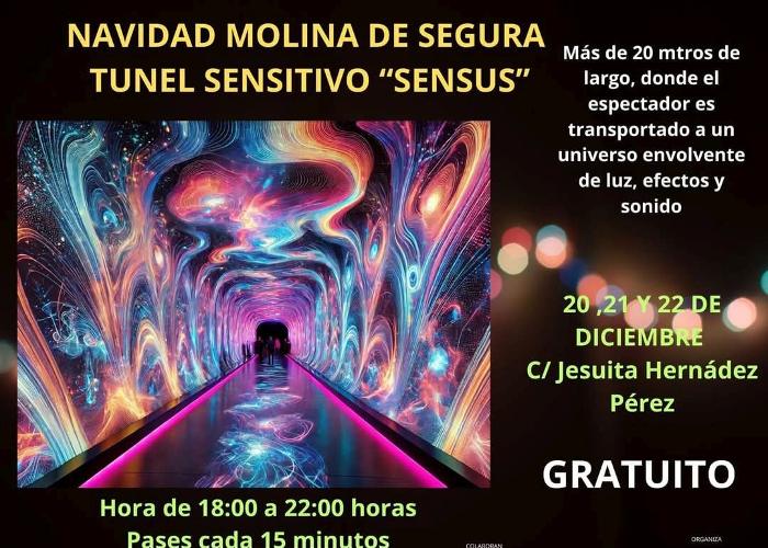 TUNEL SENSITIVO SENSUS