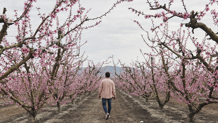 �Plan de fin de semana?