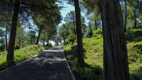 Espuroad. Nord-Route