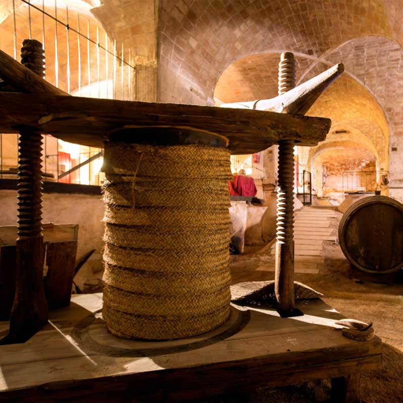 M�as informaci�n sobre la ruta del vino de Bullas