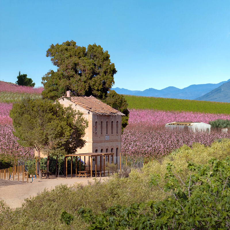 V�a Verde la Floraci�n de Cieza