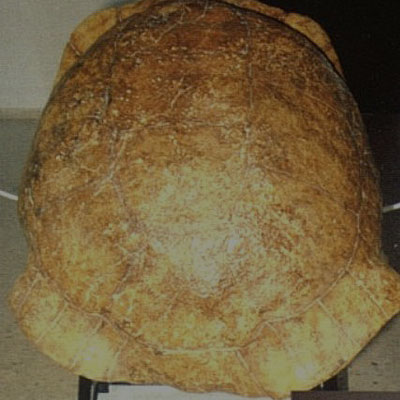 M�s informaci�n sobre Ciencias Naturales