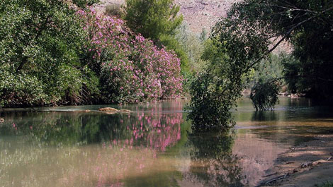 Sotos and Bosques de Ribera de Ca�averosa