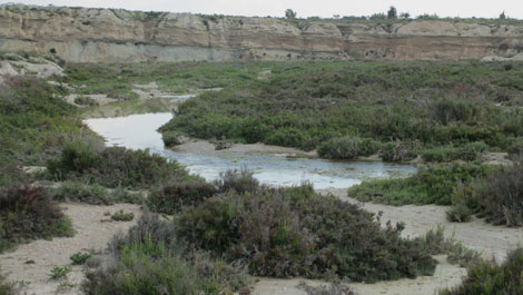Humedal de Ajauque and Rambla Salada