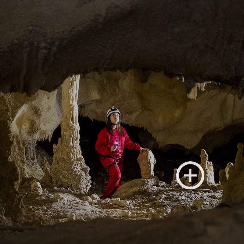 Rincones secretos: donde la Naturaleza grita en silencio