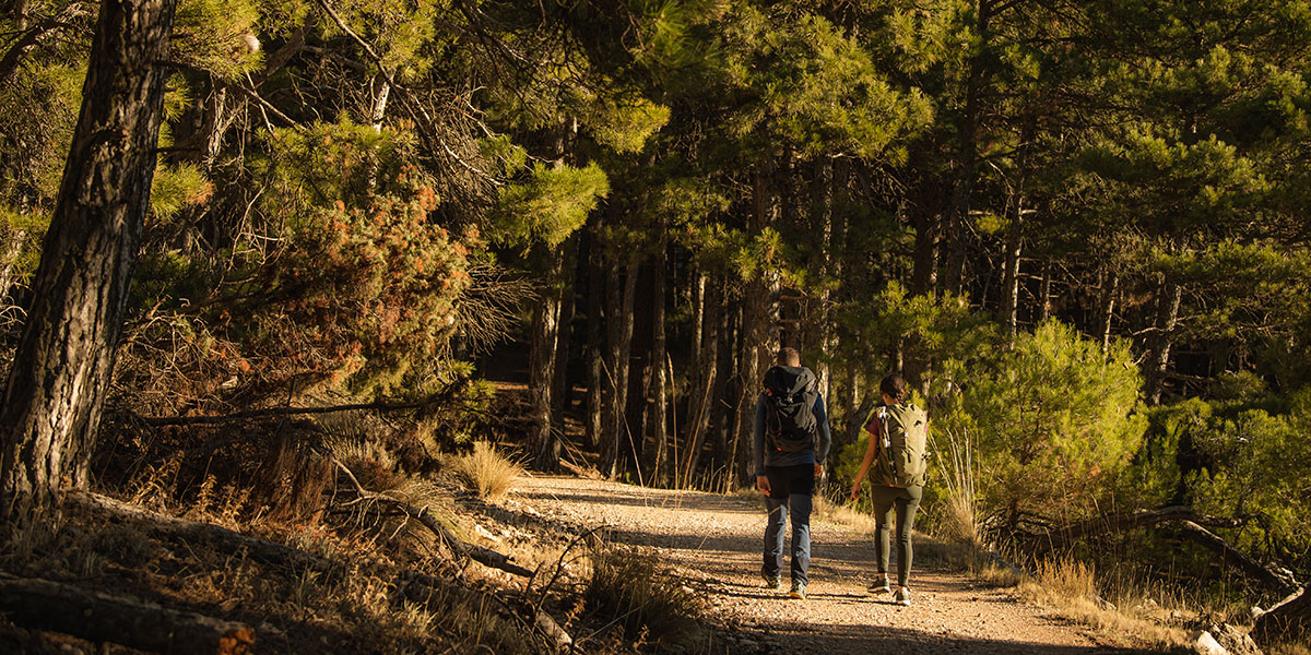 Sierra Espu�a and Guadalent�n
