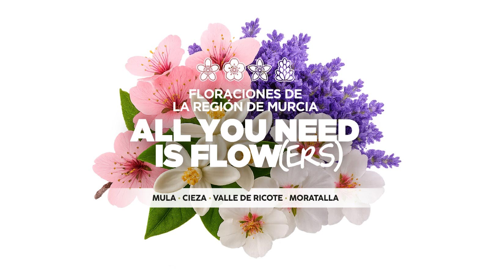 Floraci�n en la Regi�n de Murcia