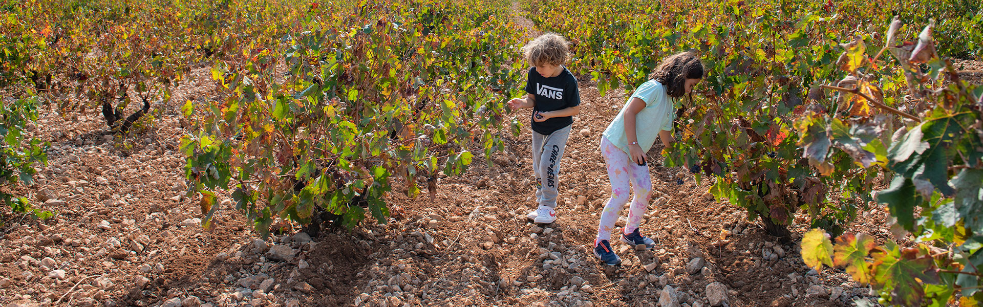 Enoturismo en familia