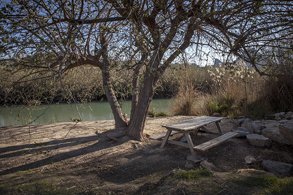 Archena: la huerta convertida en poes�a
