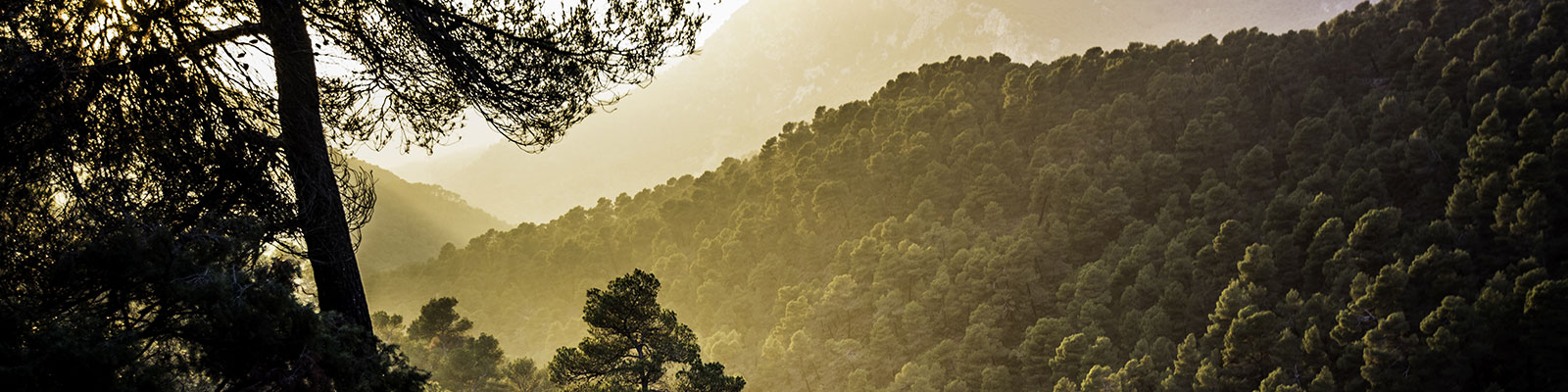 Tourisme <br>Durable