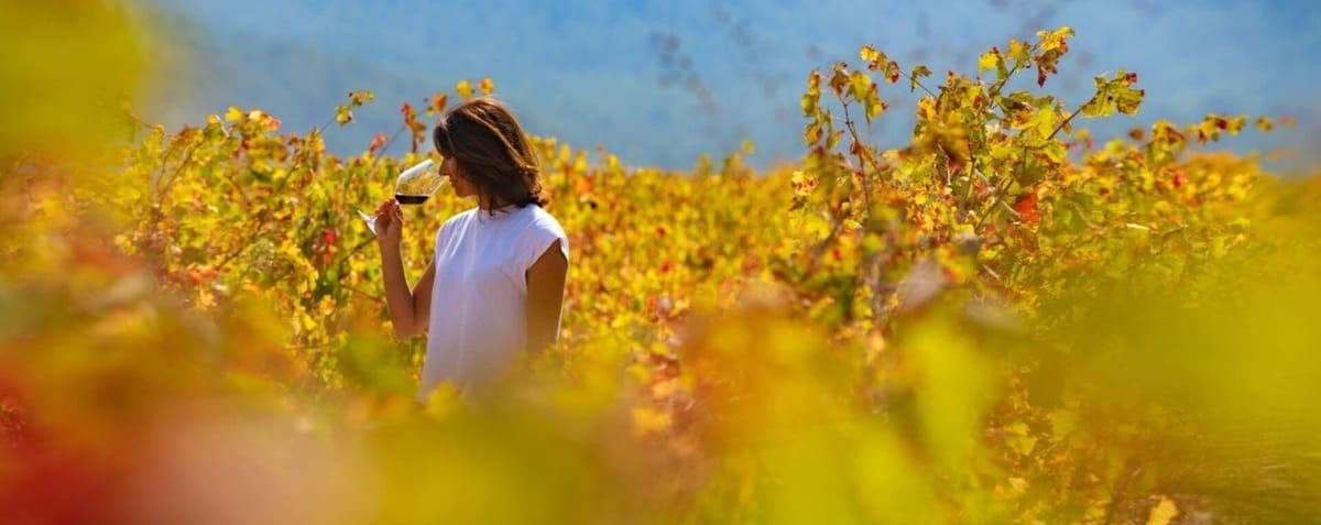 ENOTURISMO Regi�n de Murcia <br>Rutas del Vino de Bullas, Jumilla, Yecla <br>Bienvenidos al Reino de la Monastrell