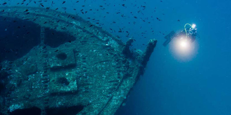 BUCEO EN CABO DE PALOS