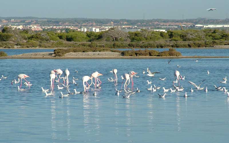 Espacios Naturales<br>de la Regi�n