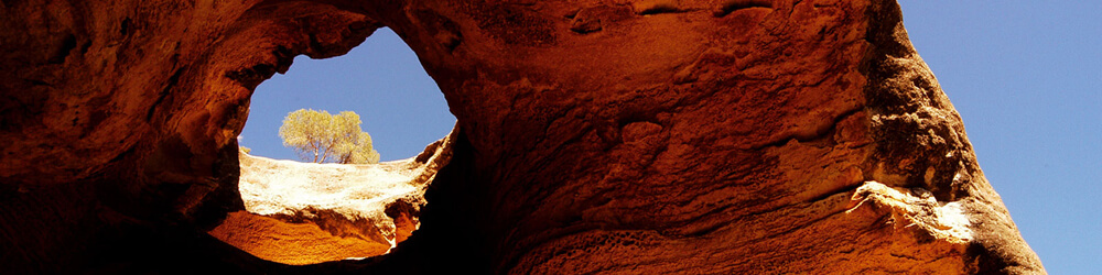 What you<br> Shouldn't miss <br>Yecla