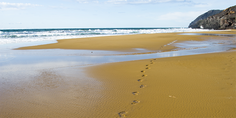 LUGARES PARA VISITAR 5