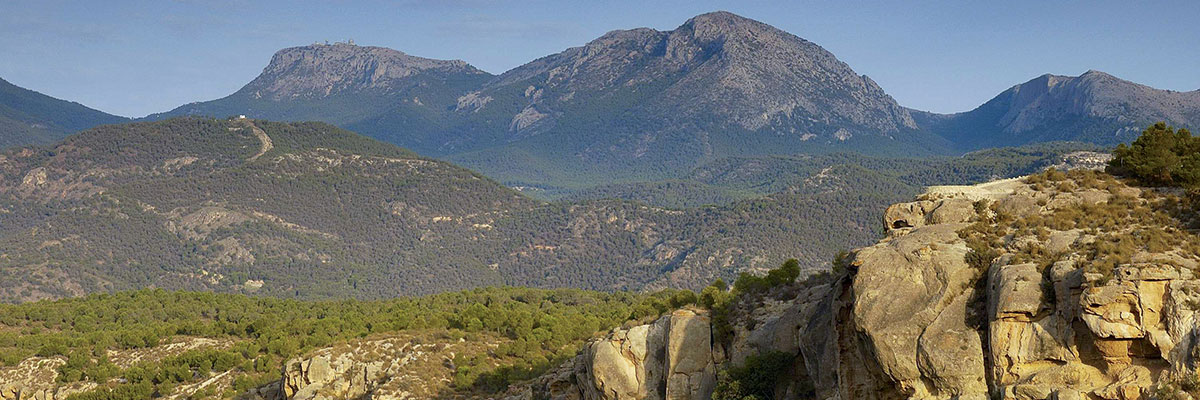 Sierra Espu�a Regional Park