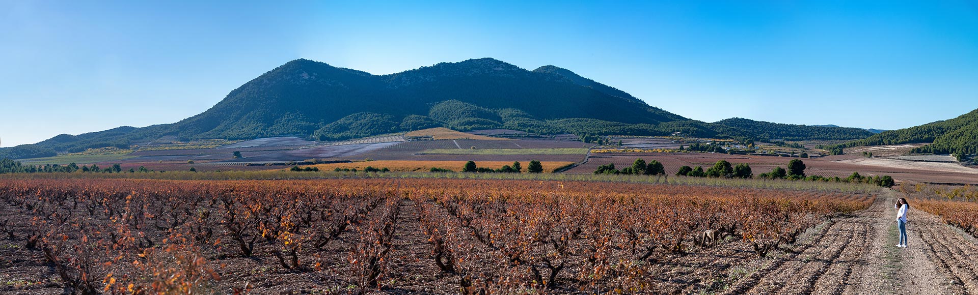 Enoturismo 101 lugares