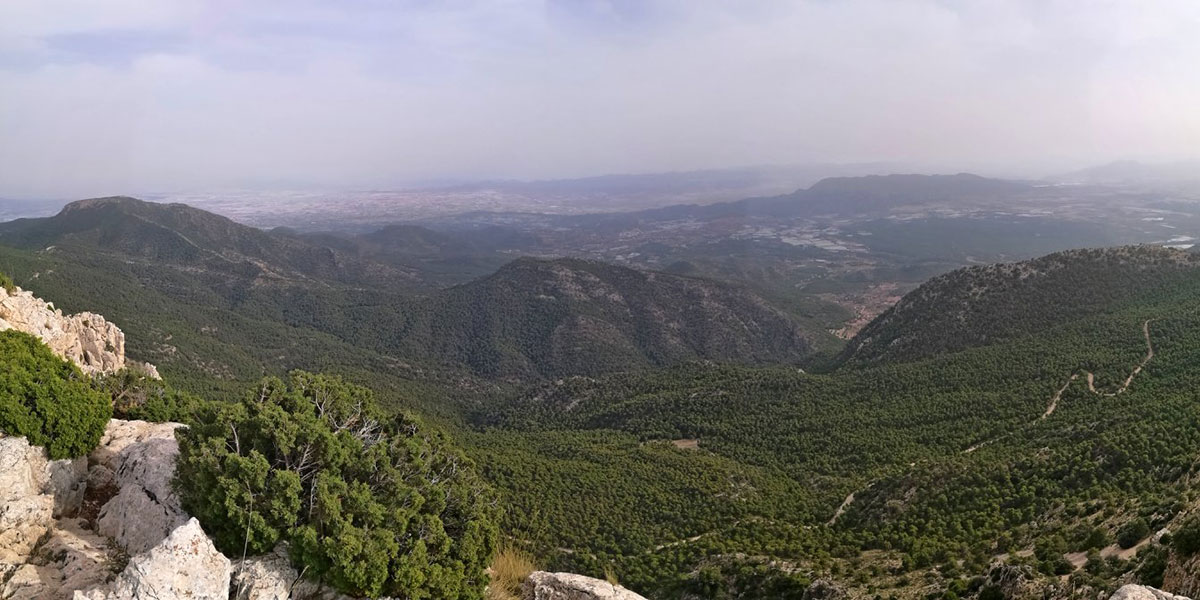 Territorio Sierra Espu�a