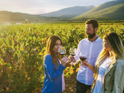 Tres destinos para convertirte en un 'wine lover' en la Regin de Murcia