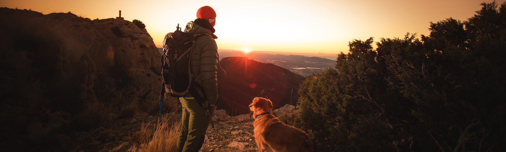 Voyagez avec votre animal de compagnie