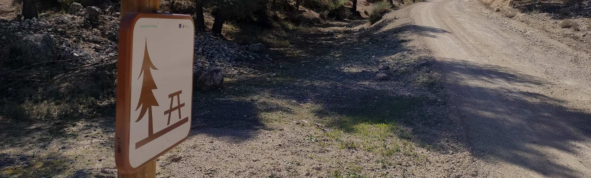 D�a de las V�as Verdes