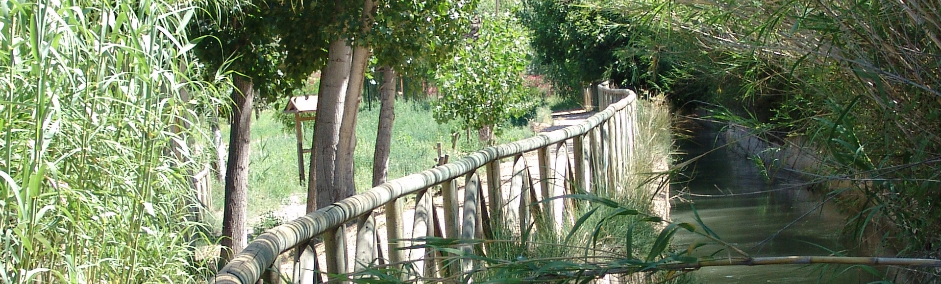 Villanueva del R�o Segura