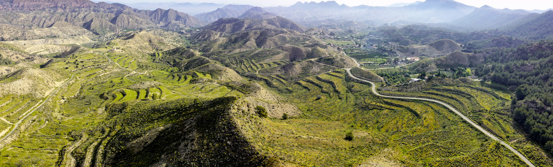 LAS TORRES DE COTILLAS