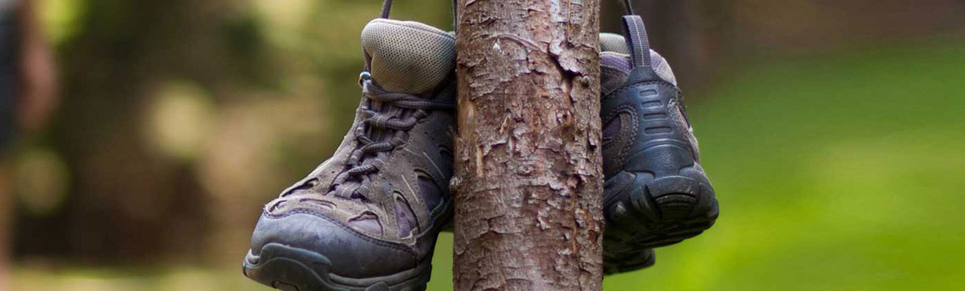 Active Tourism Activities in the Region of Murcia