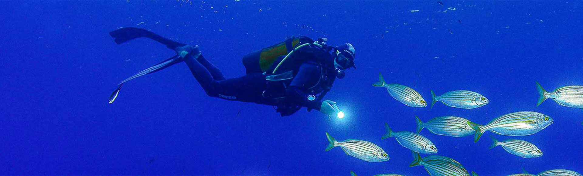 Diving Cartagena - La Azoh�a  - Cabo Ti�oso