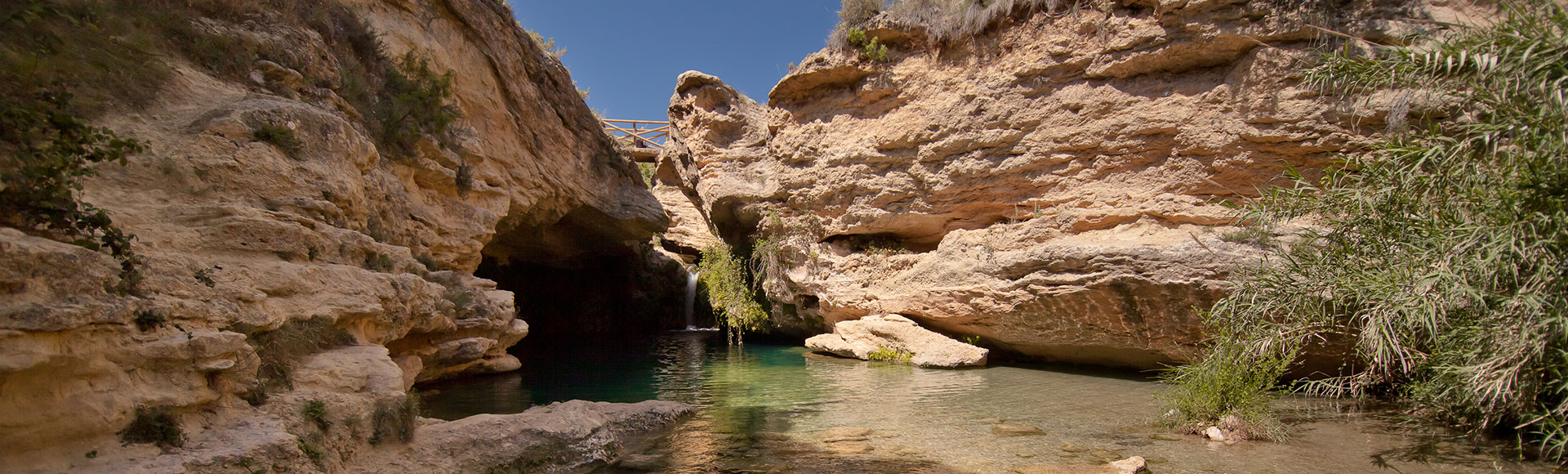 What you shouldn't miss Bullas