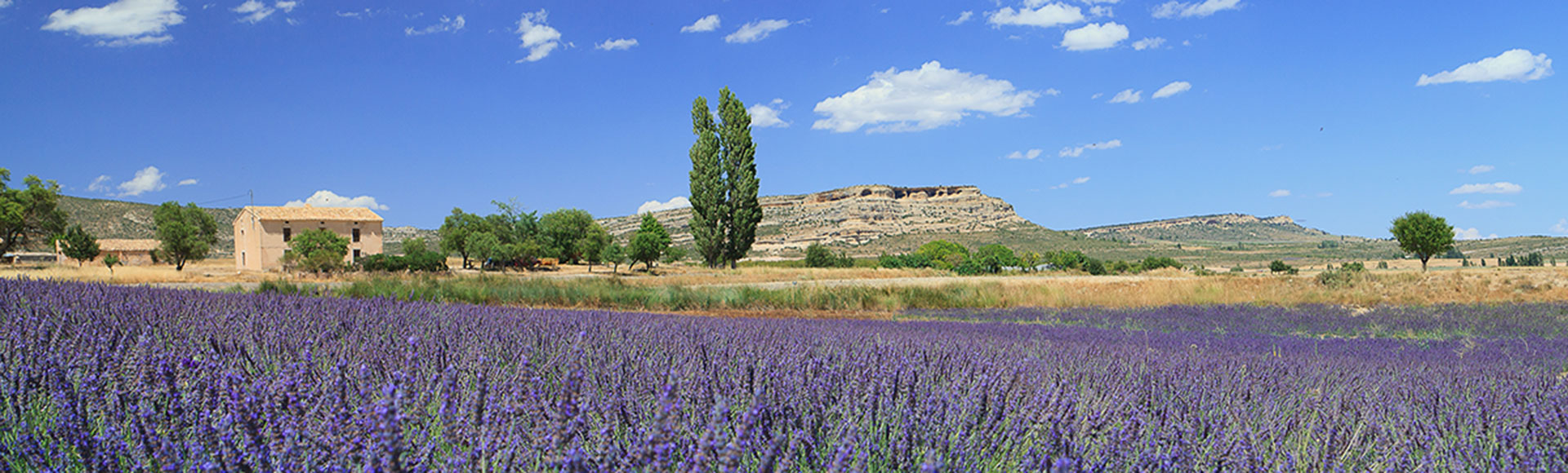 Descubre el interior de la Regi�n de Murcia