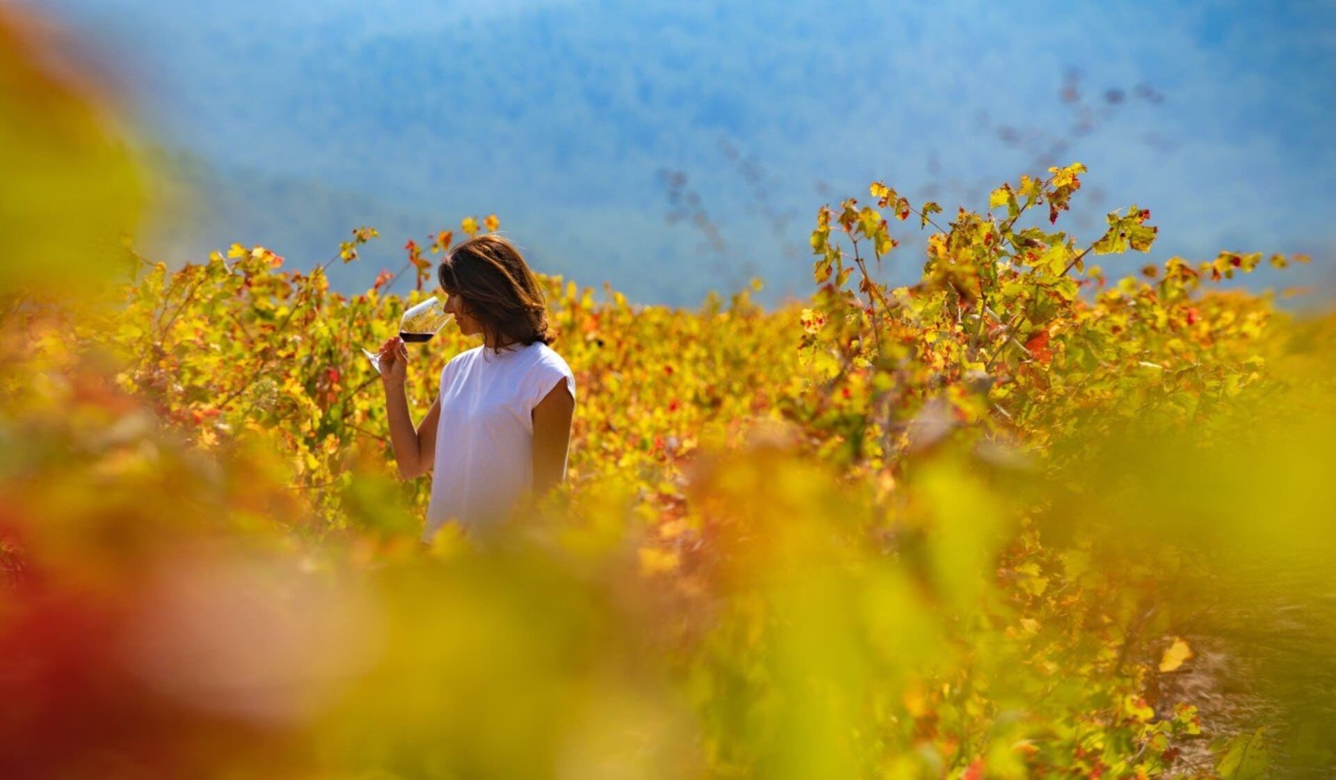 The Fall's Best-Kept Secret: The Region of Murcia
