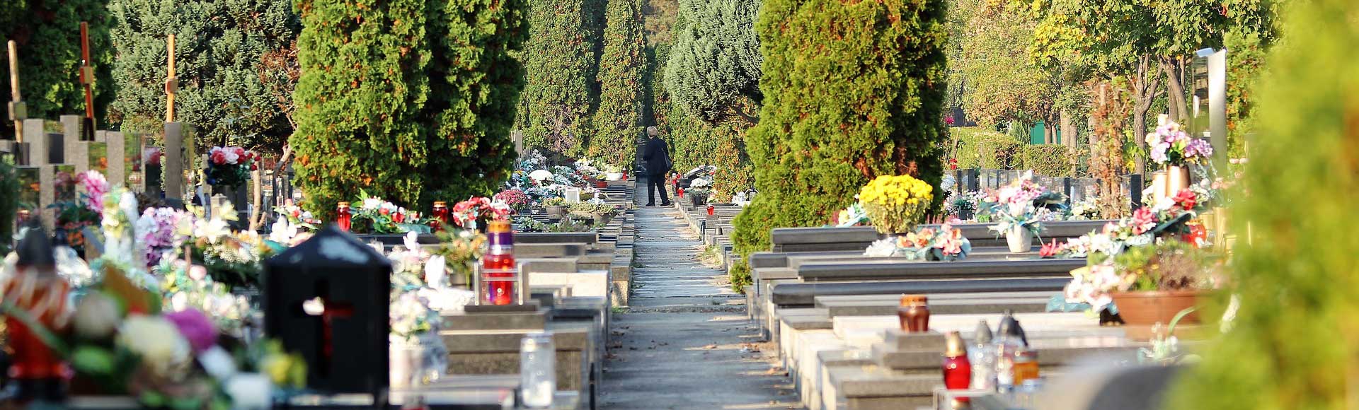 Tradiciones el D�a de Todos los Santos