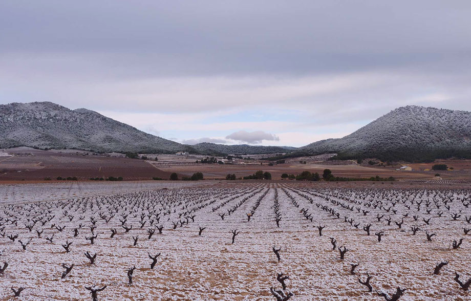<strong>01</strong> A�o de nieves...