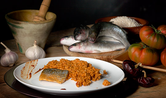 �Qu� comprar y comer?