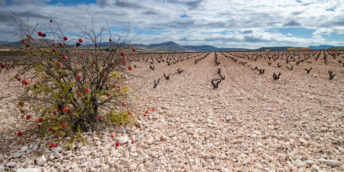 Paysages Legendaires