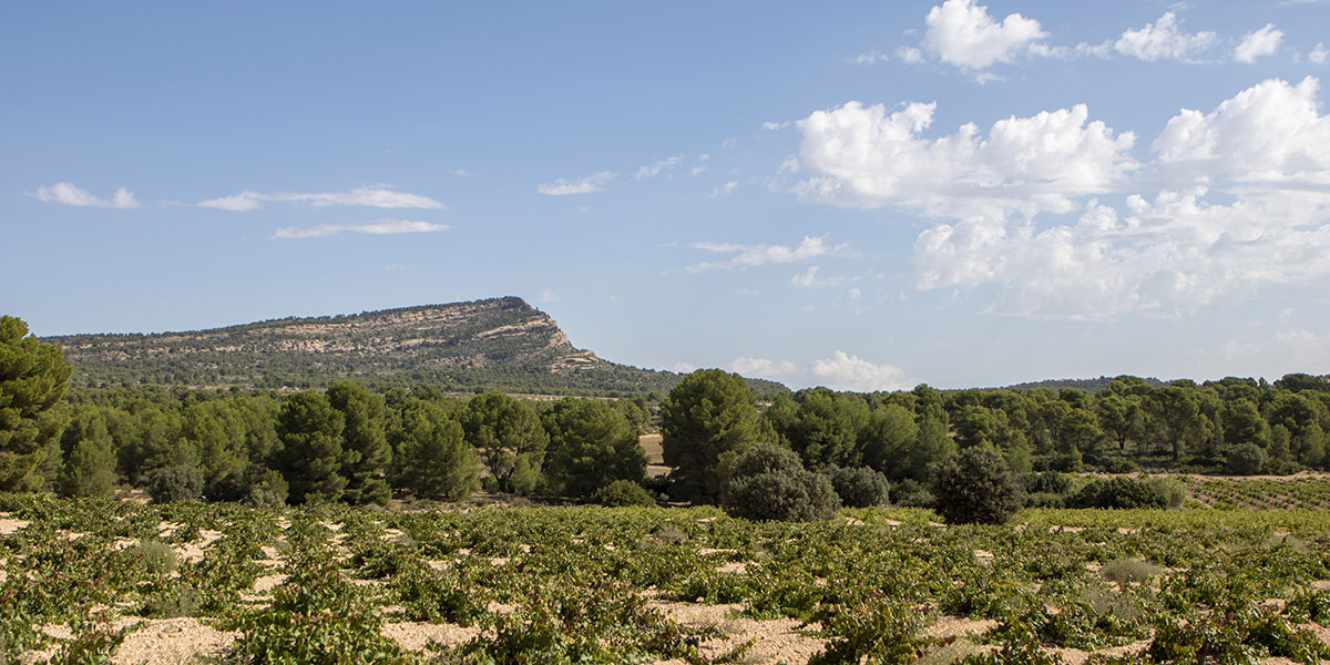 Naturaleza Ind�mita