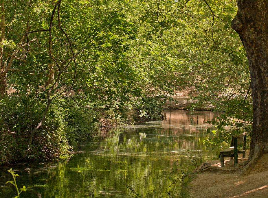 FUENTES DEL MARQU�S